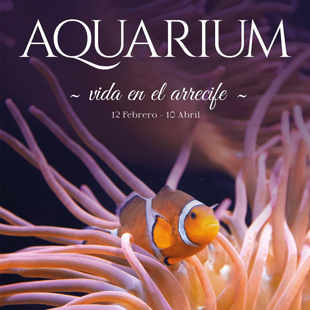 Aquarium – Vida en el Arrecife (Póster)