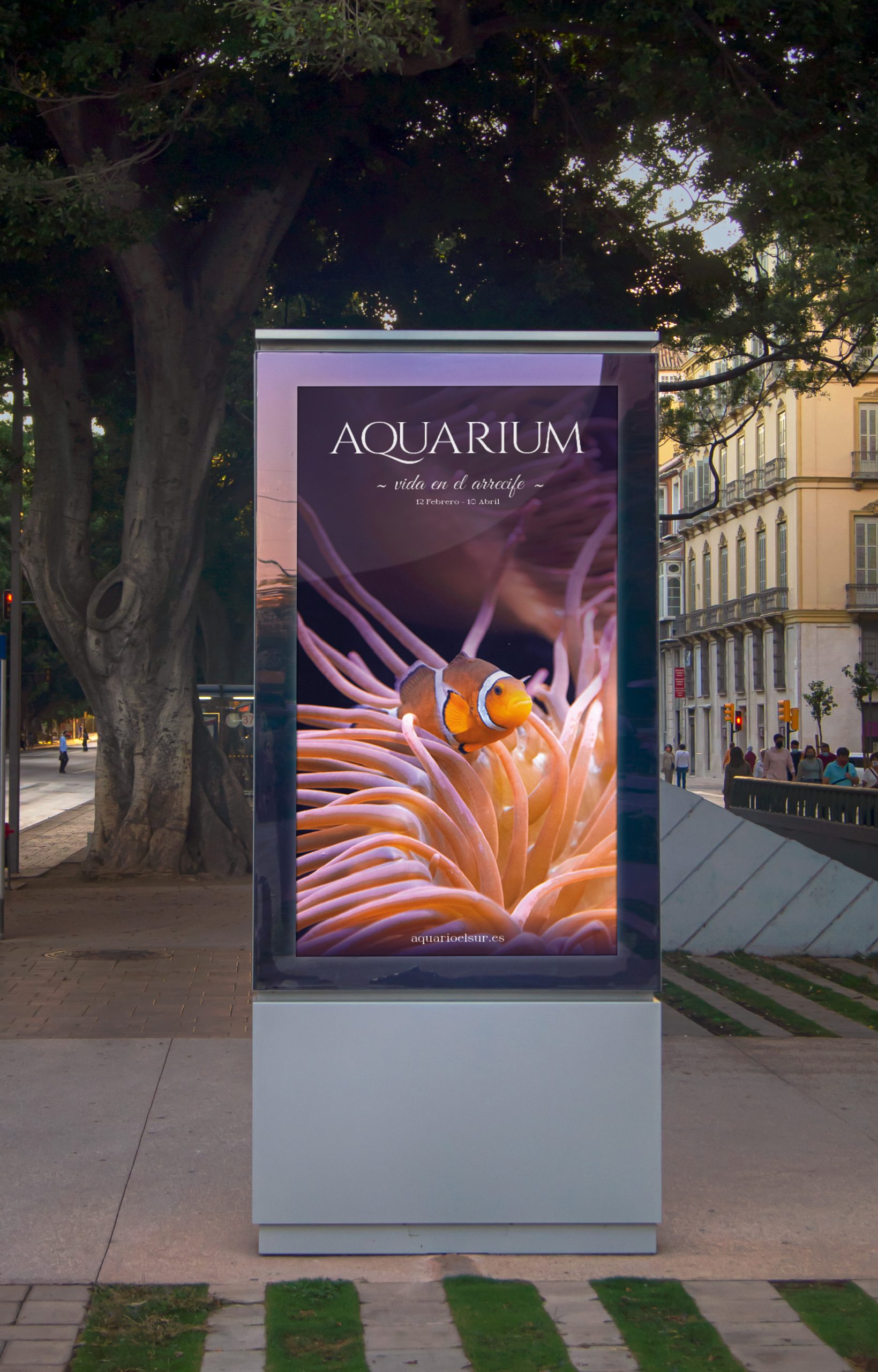 Aquarium Cartel Callejero